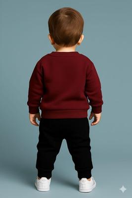 2 Pcs Boy's Polyester Printed Tracksuit