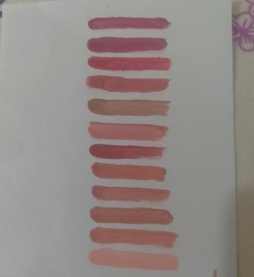 Flormar Nude Shades ,High Pigmented Lip Gloss, 6 Pcs