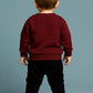2 Pcs Boy's Polyester Printed Tracksuit
