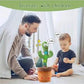 Dancing Cactus Plush Toy For Kids