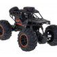 Crawler Cross Country With Camera
