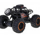 Crawler Cross Country With Camera